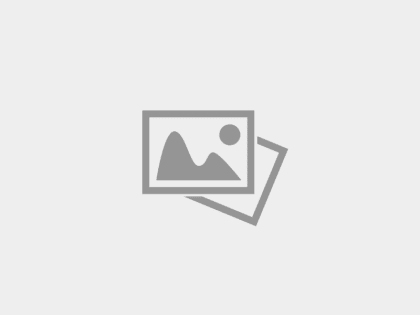 Министерство имущественных и земельных отношений Воронежской области оказало в 2024 году свыше 12 тысяч государственных услуг